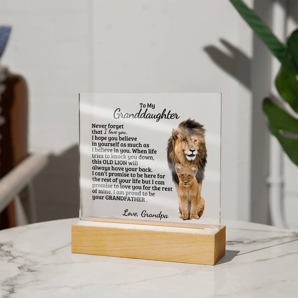 To My Granddaughter - Believe In You - Square Acrylic Plaque with Lights