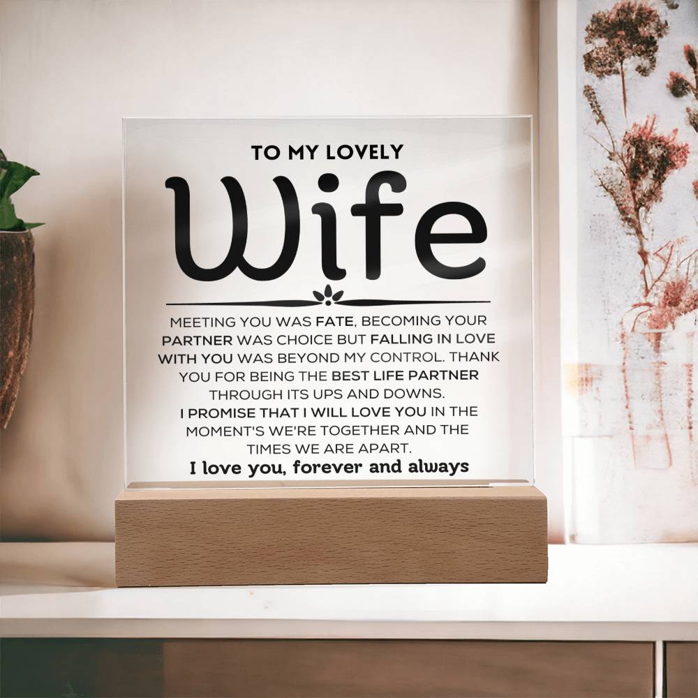To My Lovely Wife - Ups And Downs - Square Acrylic Plaque with Lights