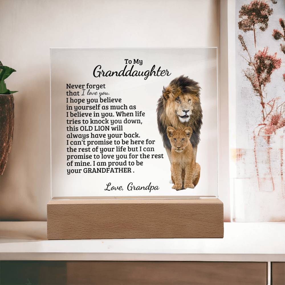 To My Granddaughter - Believe In You - Square Acrylic Plaque with Lights