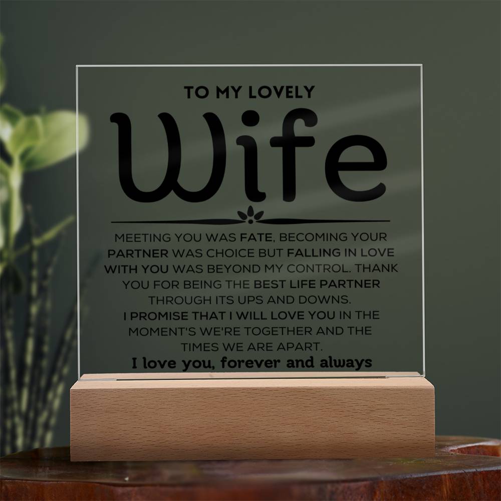 To My Lovely Wife - Ups And Downs - Square Acrylic Plaque with Lights
