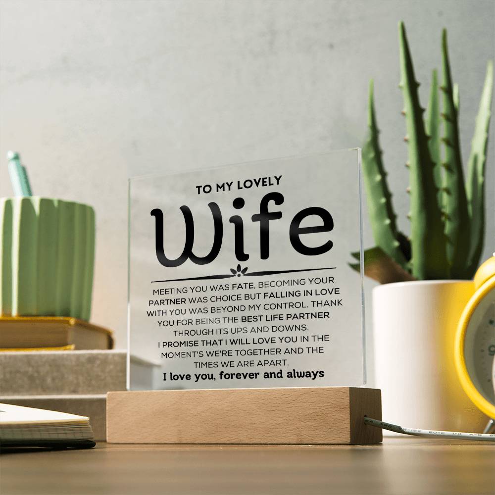 To My Lovely Wife - Ups And Downs - Square Acrylic Plaque with Lights