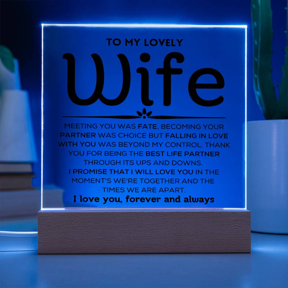 To My Lovely Wife - Ups And Downs - Square Acrylic Plaque with Lights