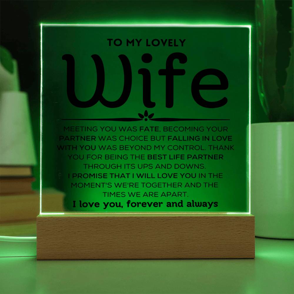 To My Lovely Wife - Ups And Downs - Square Acrylic Plaque with Lights