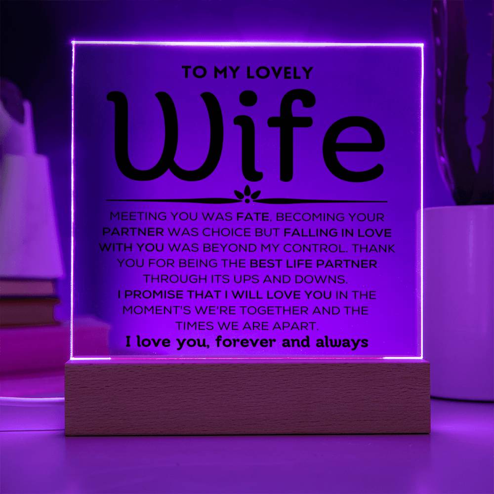 To My Lovely Wife - Ups And Downs - Square Acrylic Plaque with Lights
