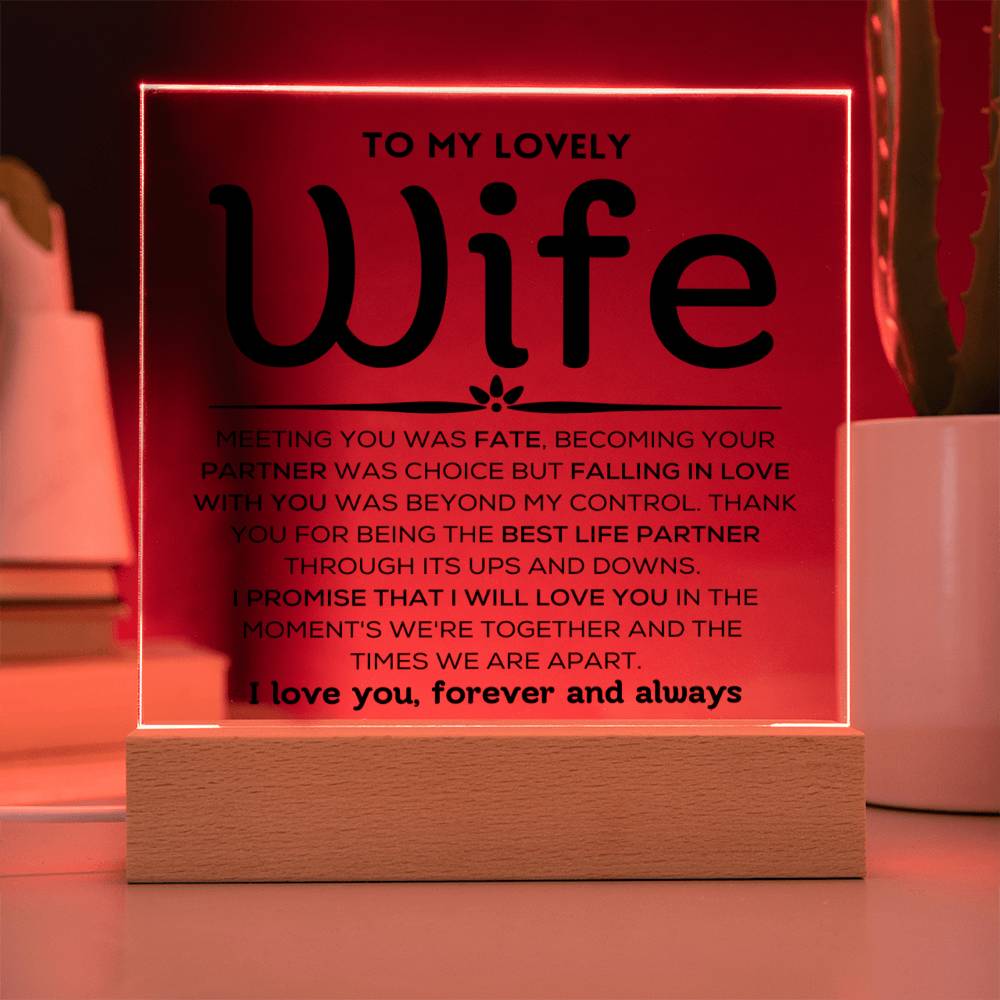 To My Lovely Wife - Ups And Downs - Square Acrylic Plaque with Lights